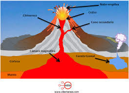 repaso ciencias naturales
