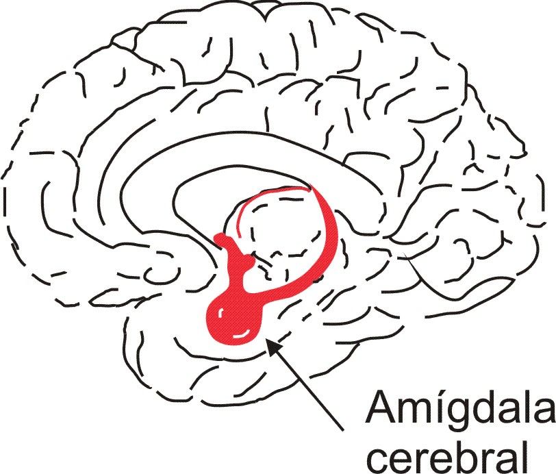Inteligencia emocional