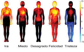 SENSACIONES