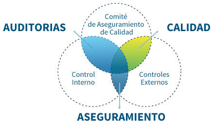 EVOLUCIÓN DE LA CALIDAD