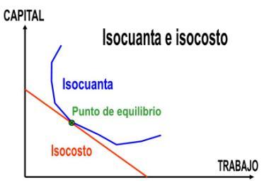 ISOCUANTA Y ISOCOSTOS