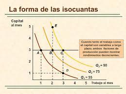 ISOCUANTA Y ISOCOSTOS