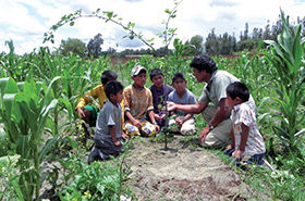 Ramas de la ecología