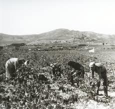 CRISIS ECONOMICA DE 1929