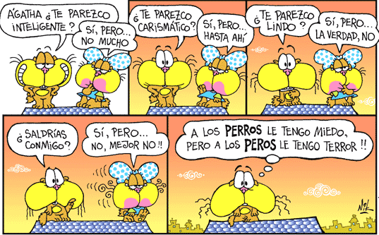 ICONO