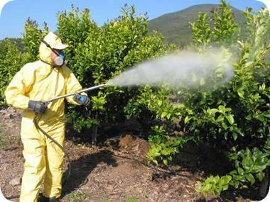 Pesticidas