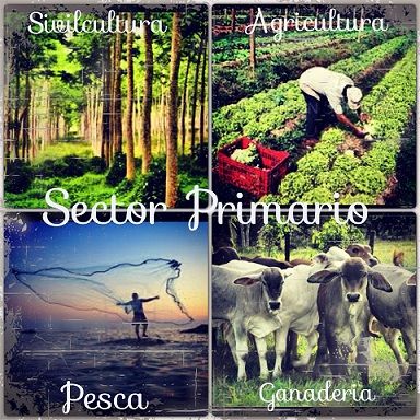Economía de las sensaciones