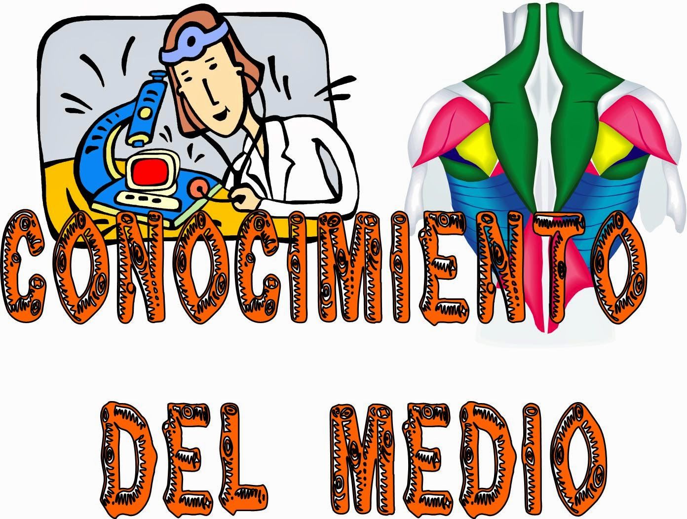 Teoría Psicogenética