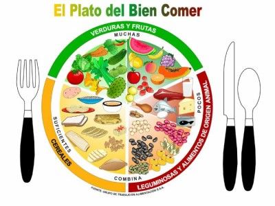 ALIMENTACION, NUTRICION Y PROCESO DIGESTIVO