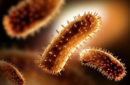 Defensas do organismo contra infeccións