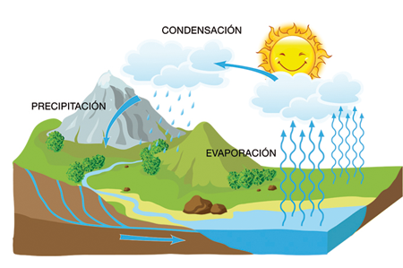 CICLO DEL AGUA