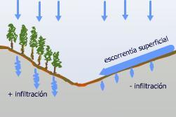 CICLO DEL AGUA