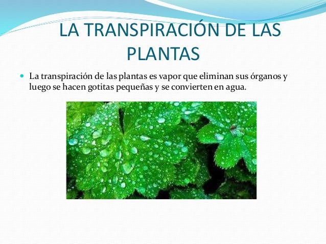 CICLO DEL AGUA