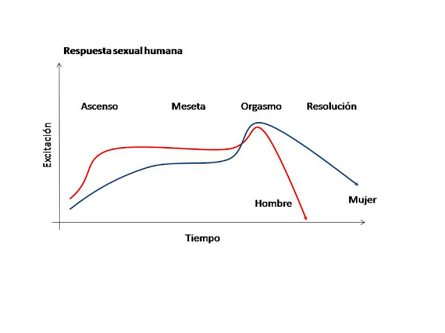 Neurofisiología de la respuesta sexual y Efectos en la sexualidad por diversas discapacidades.