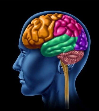 BENEFICIOS DEL DEPORTE Y LA ACTIVIDAD FISICA