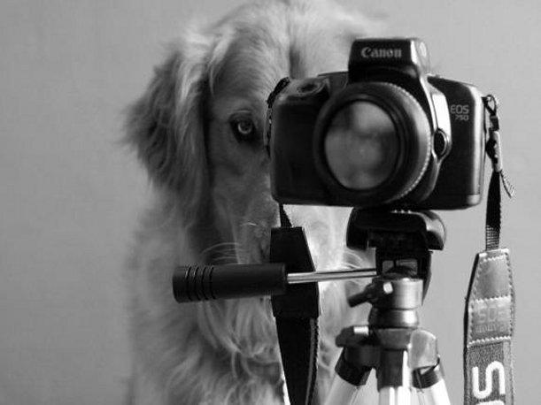 LA FOTOGRÁFIA