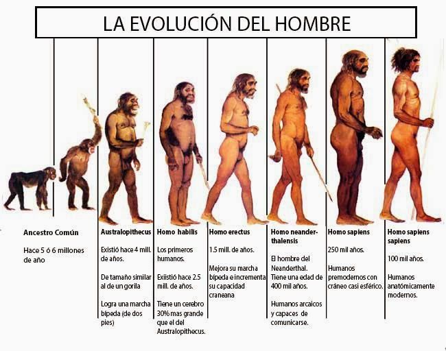 Ciencias Naturales 8vo básico