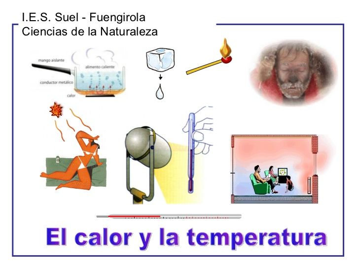 Ciencias Naturales 8vo básico