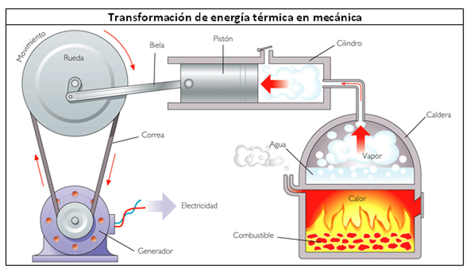 Ciencias Naturales 8vo básico