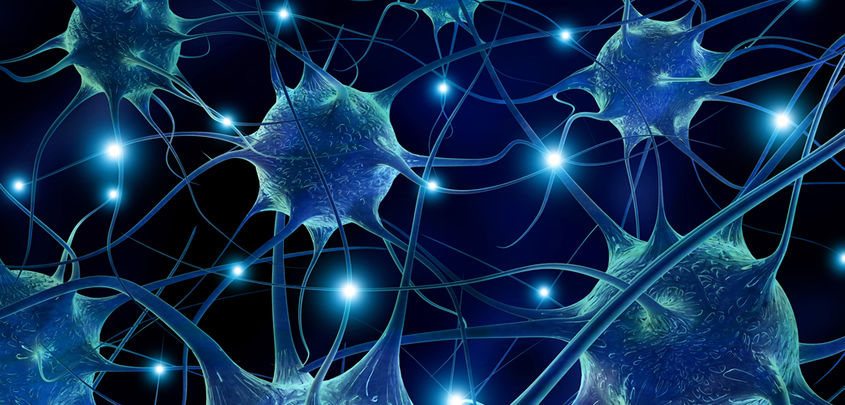 Plasticidad Cerebral