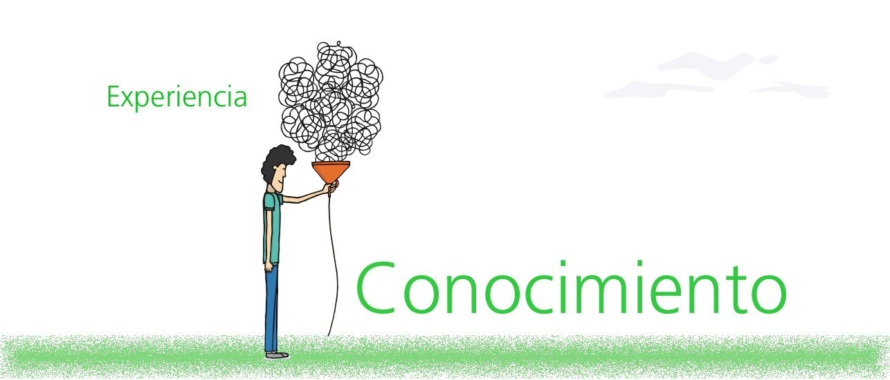 Plasticidad Cerebral