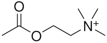 COMPOSICIÓN QUÍMICA, PROPIEDADES Y USOS DE LA ORTIGA