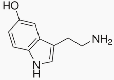 COMPOSICIÓN QUÍMICA, PROPIEDADES Y USOS DE LA ORTIGA