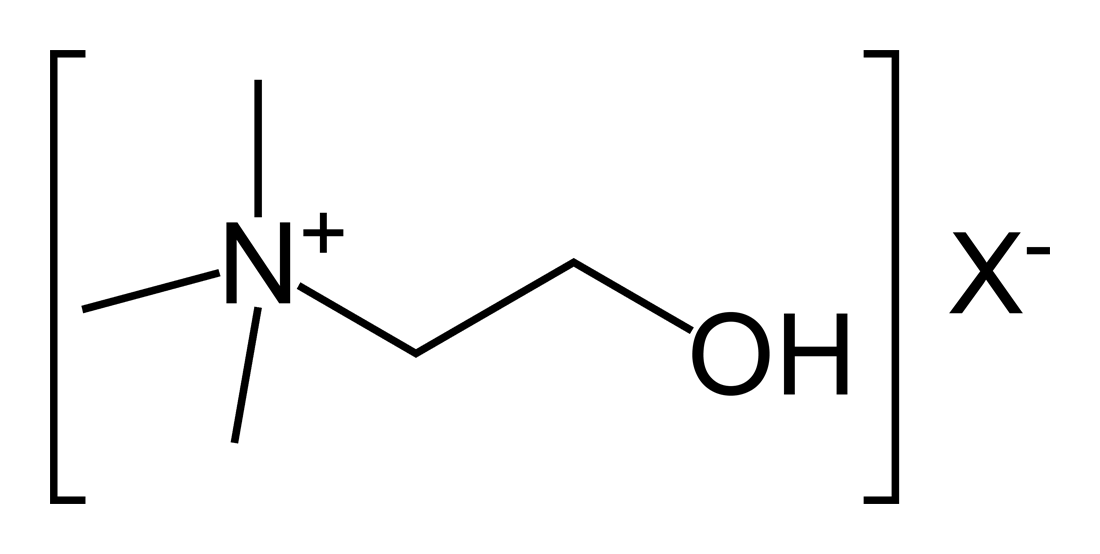 COMPOSICIÓN QUÍMICA, PROPIEDADES Y USOS DE LA ORTIGA