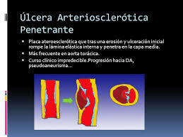 COMPOSICIÓN QUÍMICA, PROPIEDADES Y USOS DE LA ORTIGA