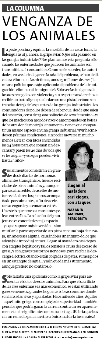 clasificacion de los generos periodisticos en el fotoperiodismo