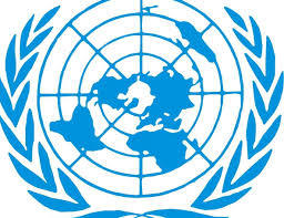 Sistemas de protección de los Derechos Humanos