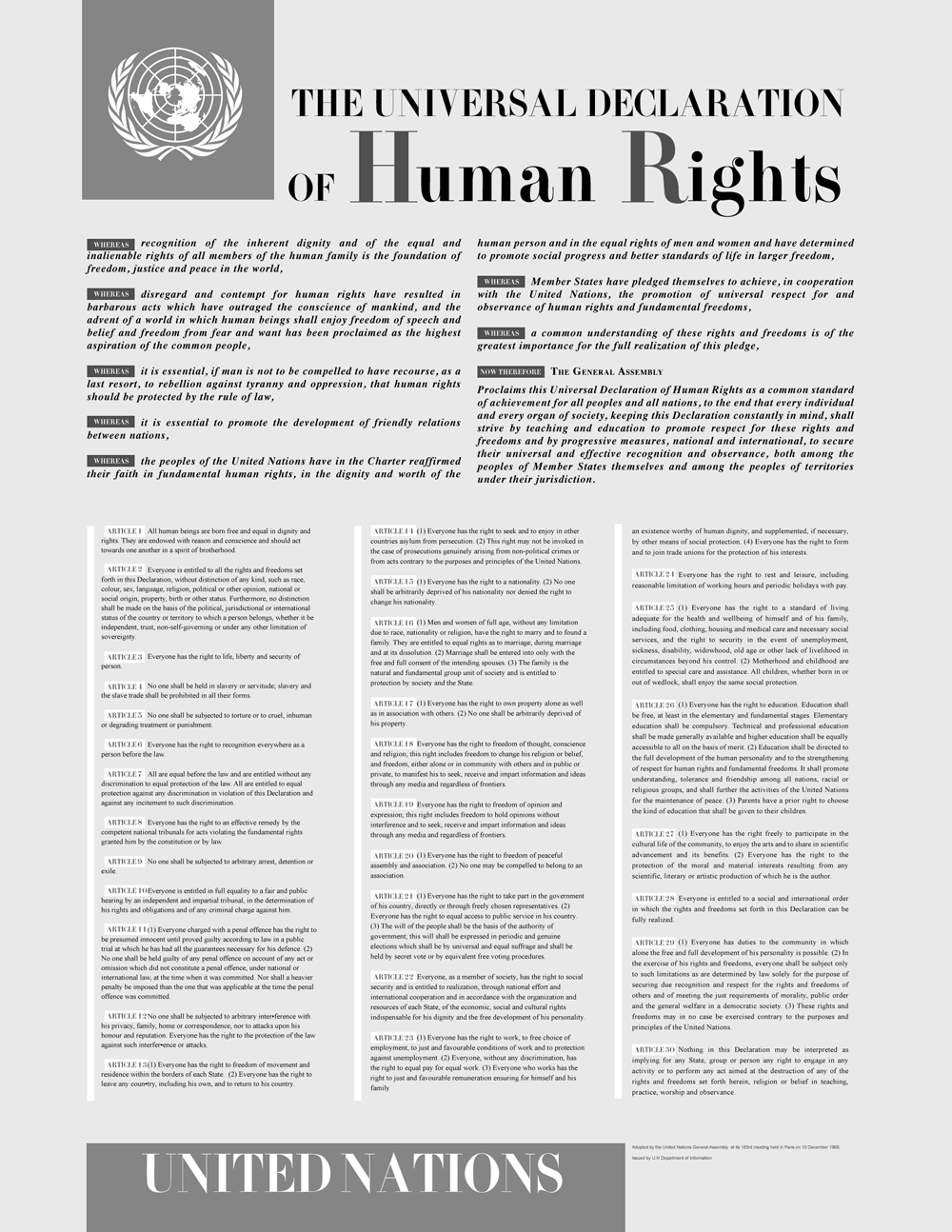 Sistemas de protección de los Derechos Humanos