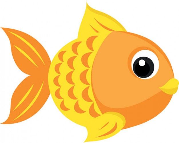 conozcamos los animales invertebrados