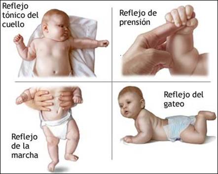 desarrollo personal teorias