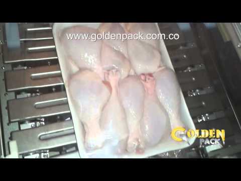 Pollo para consumo Humano