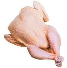 Pollo para consumo Humano