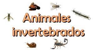 animales vertebrados e invertebrados