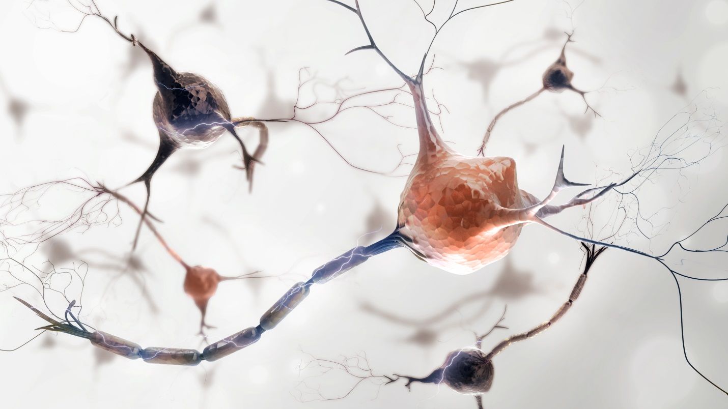 FISIOPATOLOGIA DEL DOLOR