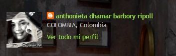 guia rapida navega en mi blog