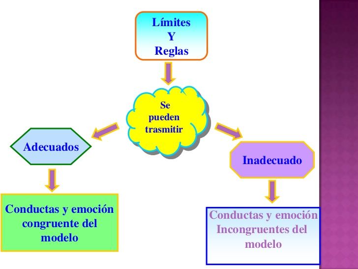 Autoridad y afecto