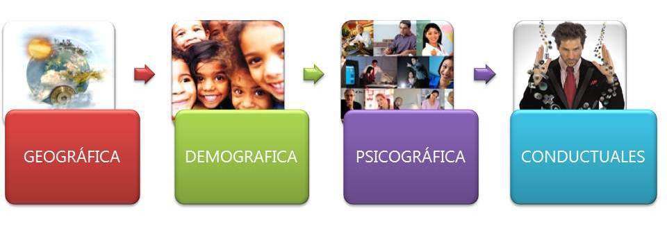 Estudio de Mercado: investigación y segmentación