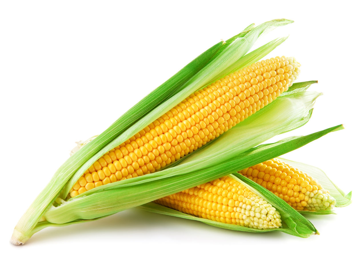 Micotoxinas en alimentos