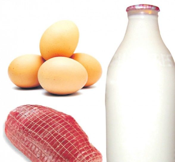 Micotoxinas en alimentos
