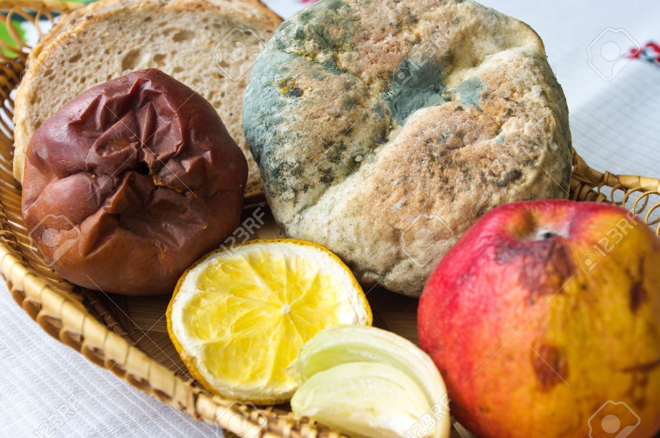 MICOORGANISMES I ALIMENTACIÓ