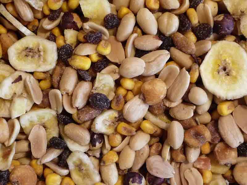MICOORGANISMES I ALIMENTACIÓ