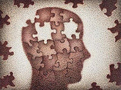El estudio de la cognición y sus aproximaciones básicas