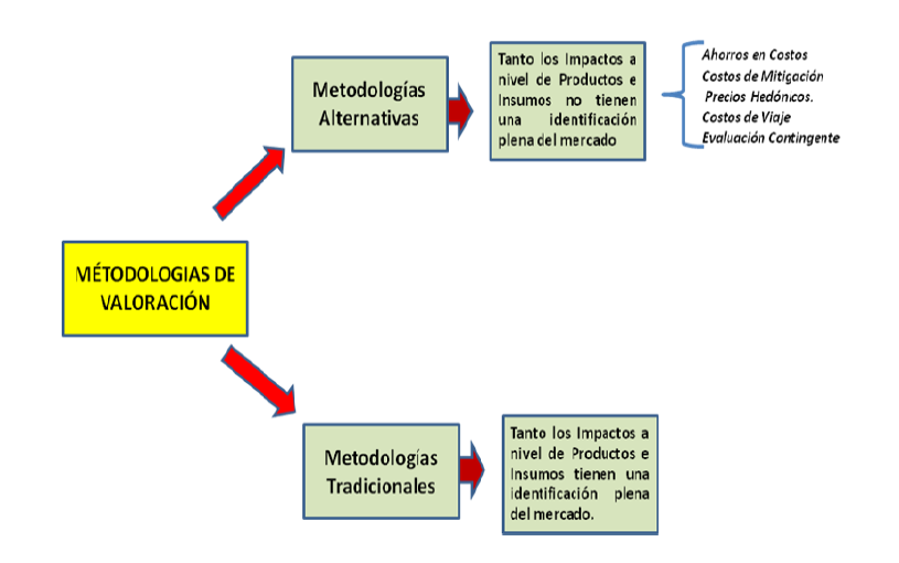 VALORACION ECONOMICA DE LOS IMPACTOS