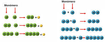 Macromoléculas, polimeros y monómeros