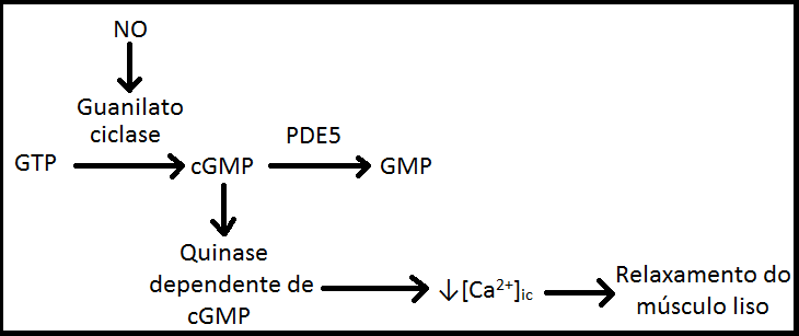 Disfunção erétil