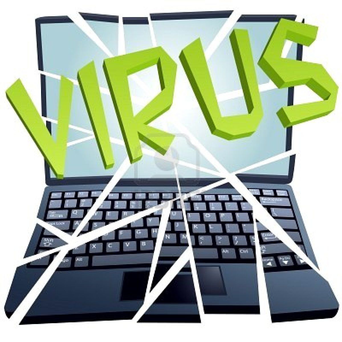 Hackers and Viruses